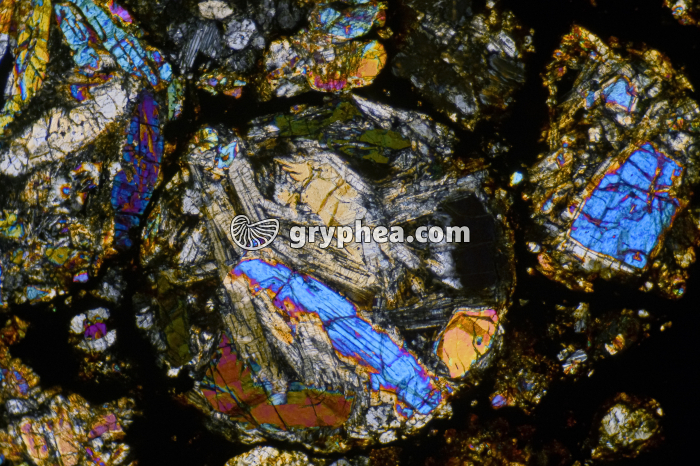 Météorite (Chondrite de type LL) LPA x16 - gryphea.com